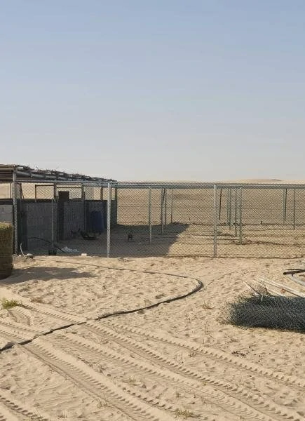 شبوك
