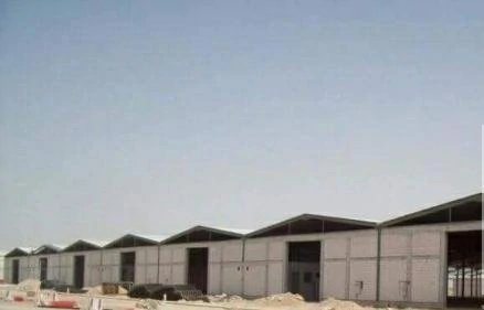 هناجر 